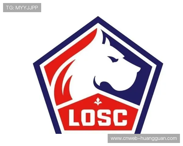 里尔500万欧接近签下20岁前锋埃朱马